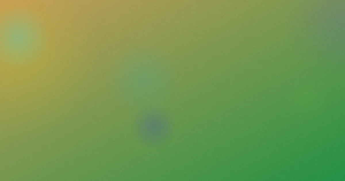 一级黄片免费看对比：一次复盘